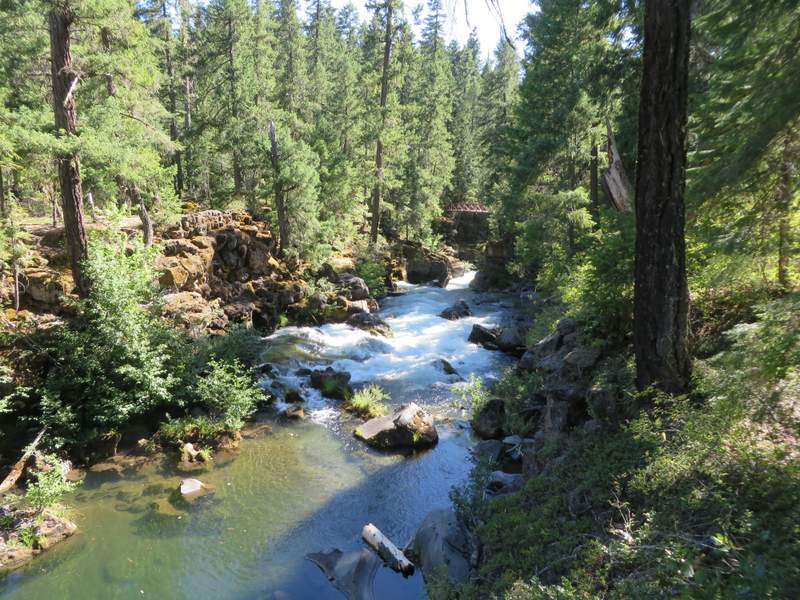The Natural Bridge
