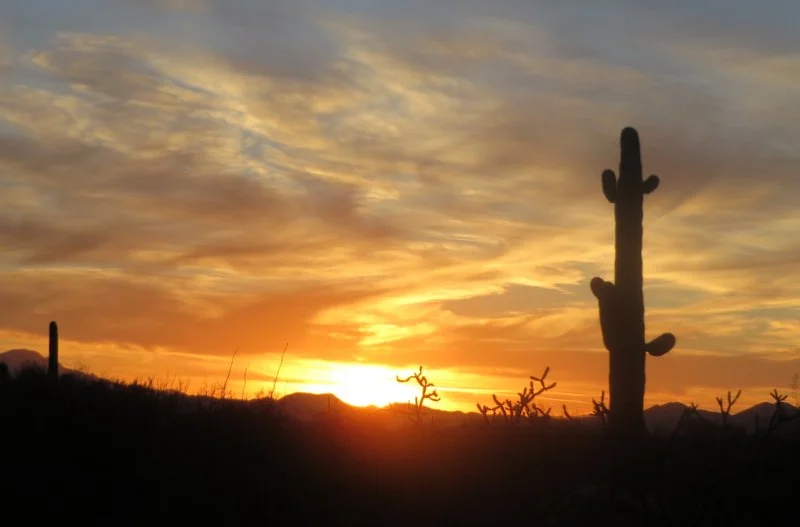 Stunning Arizona Sunsets at Gilbert Ray