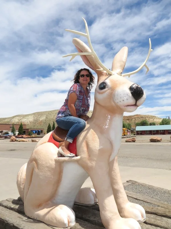We're in Jackalope country