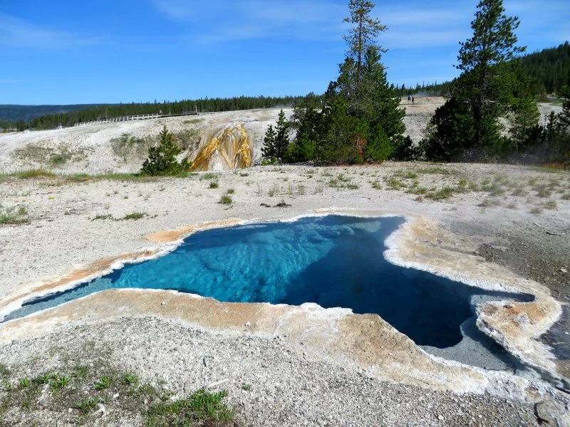Fantastic Geo-Thermal displays at YNP