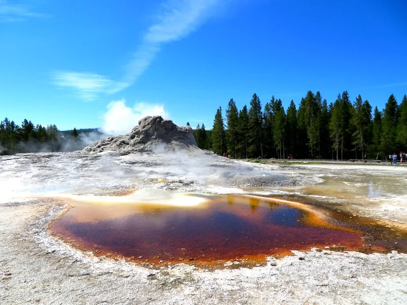 Funky Stuff at YNP 