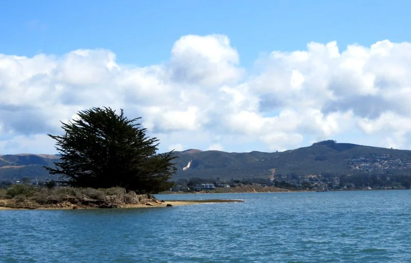 Morro Bay: A kayaker paradise