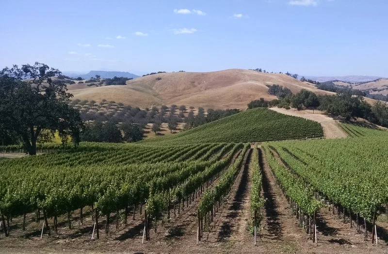 Paso Robles or Tuscany?