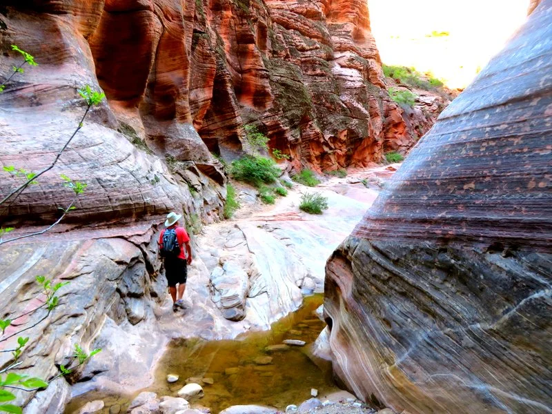 Observation trail: A respite from the constant increases of elevation