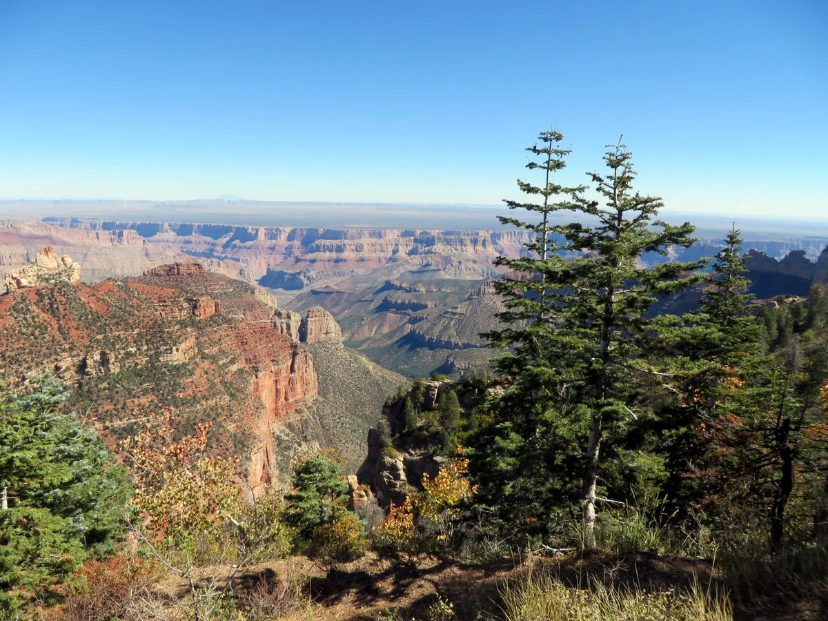 Views over the Grand Canyon from North Rim