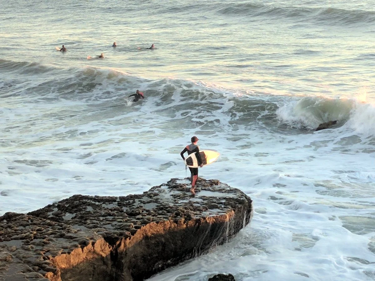 Fearless surfers braving the waves and cold water