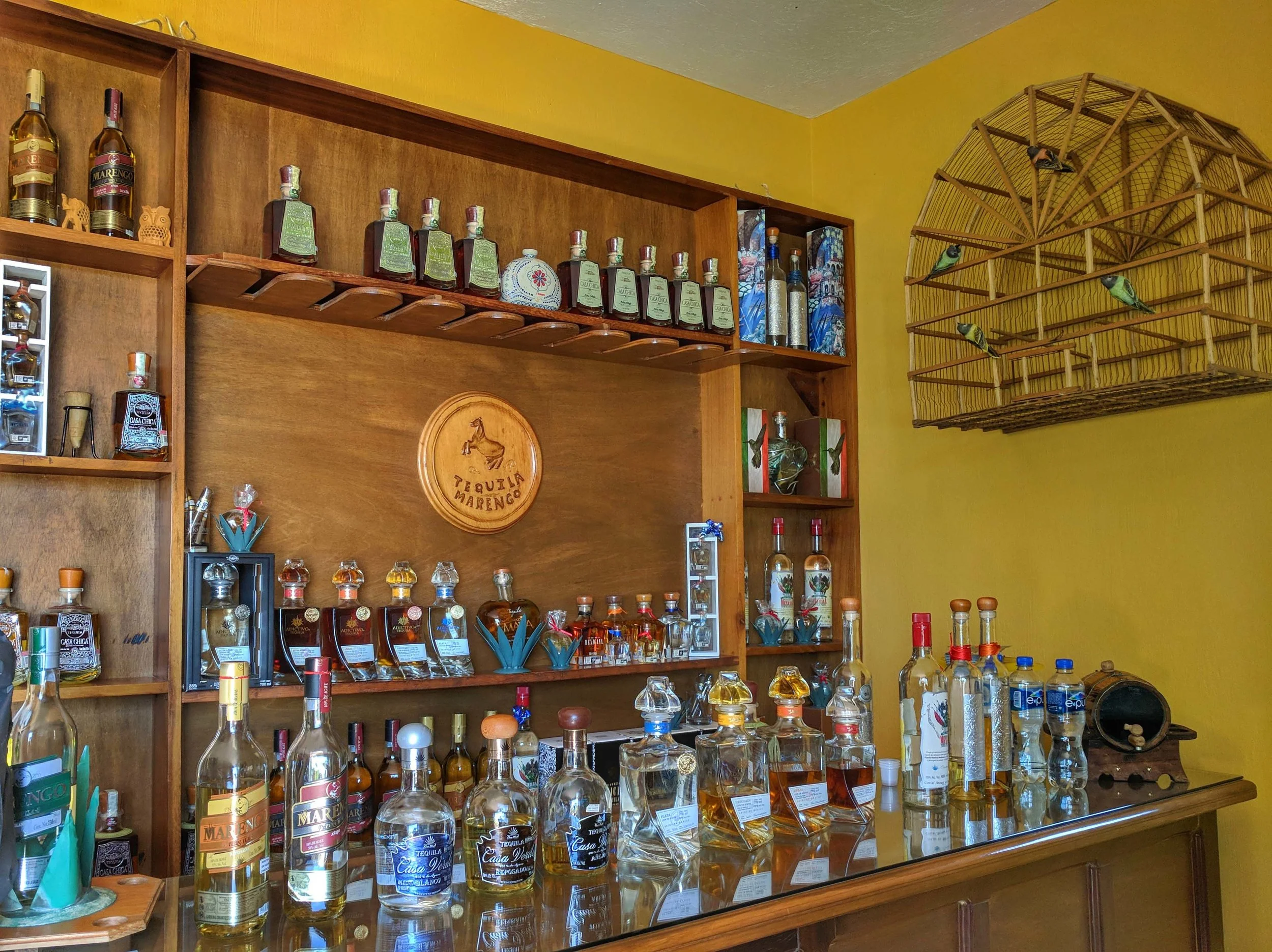 Delicious tequila to try at Casa Marengo