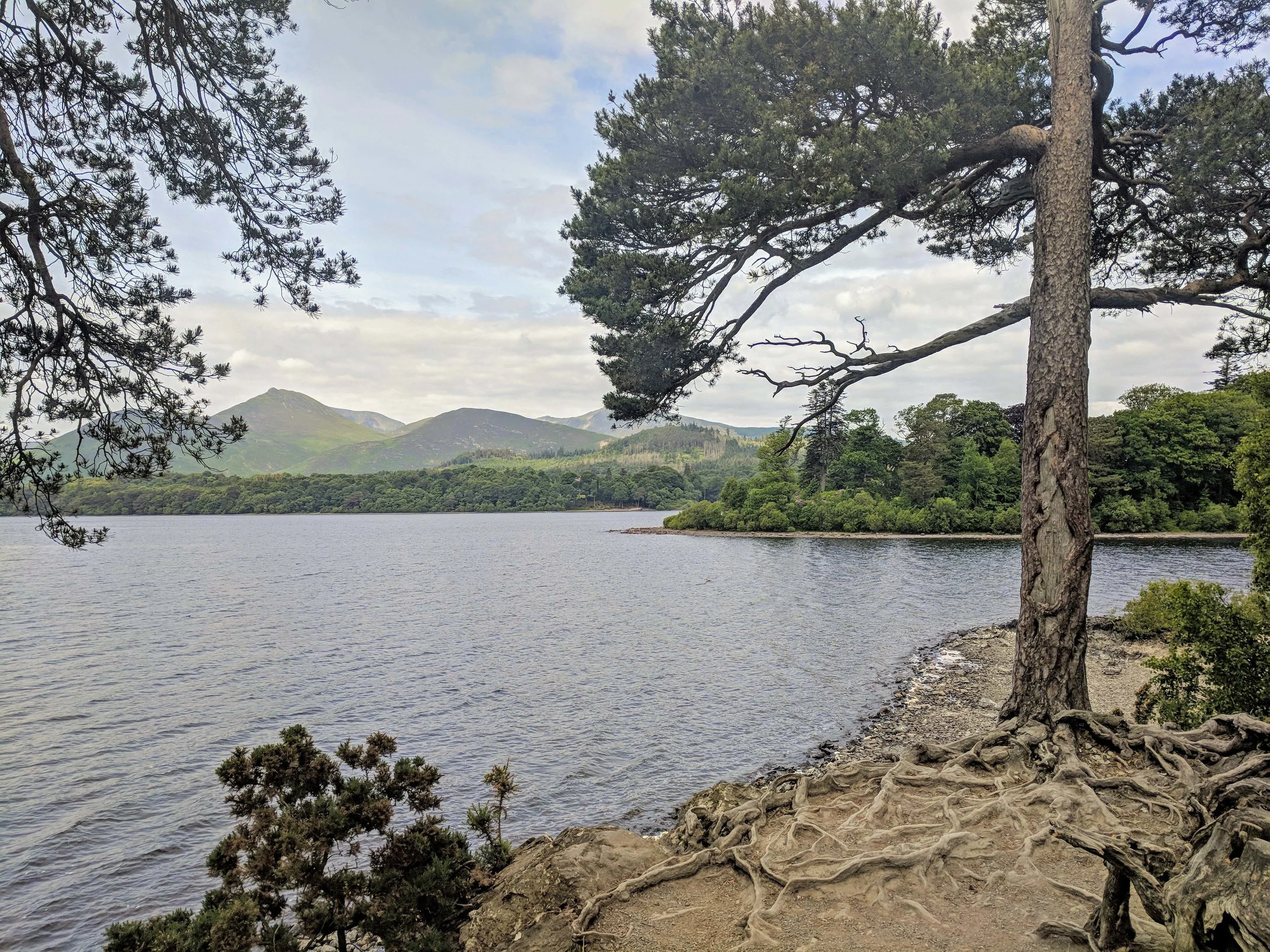 Views from the path around the lake