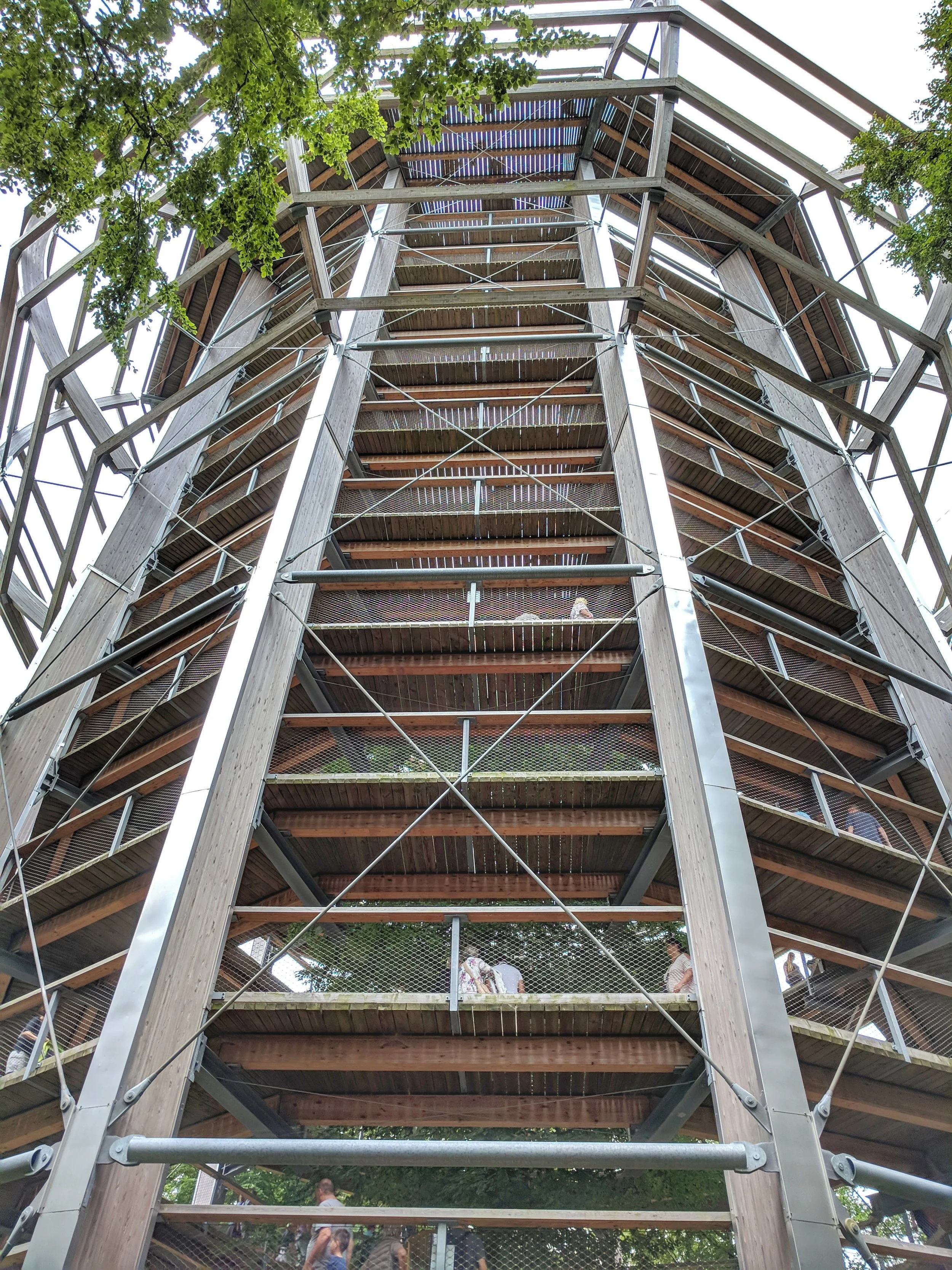 The viewing platform