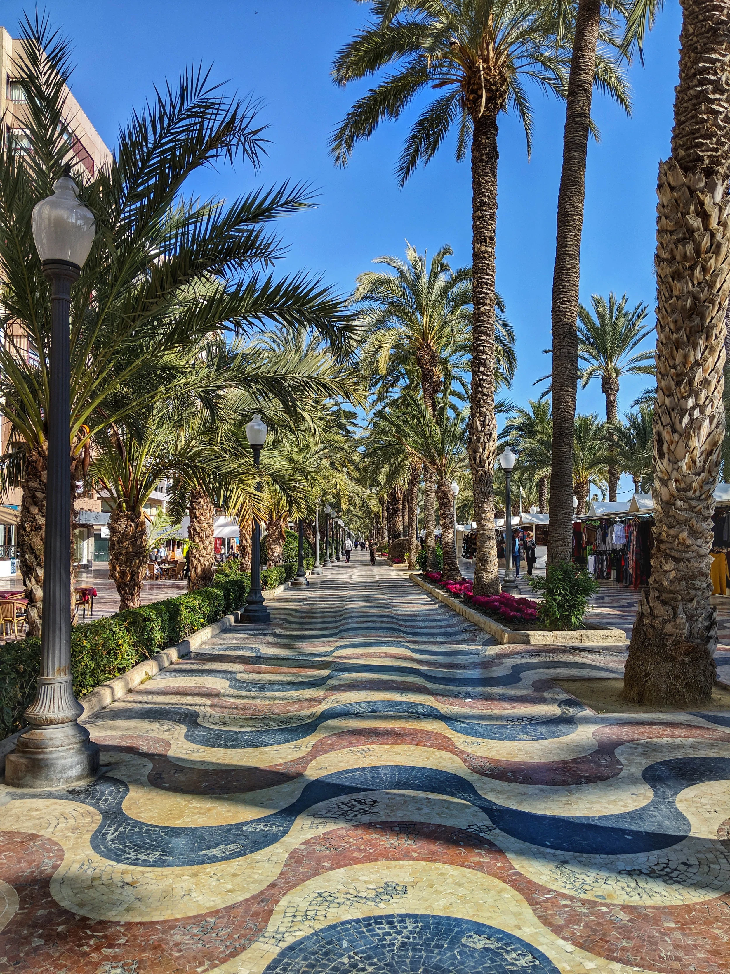 Pretty Alicante