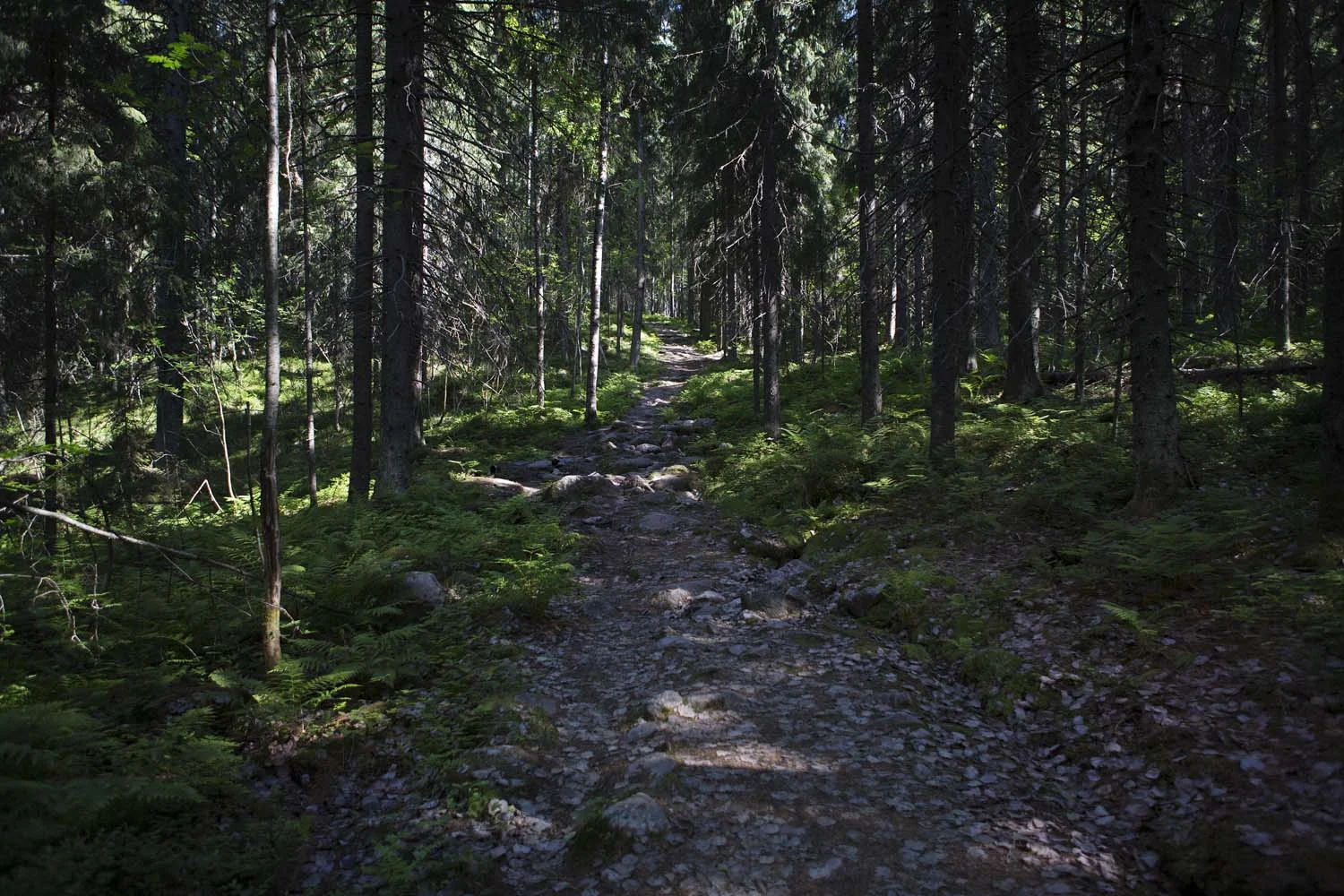 northern survival skills