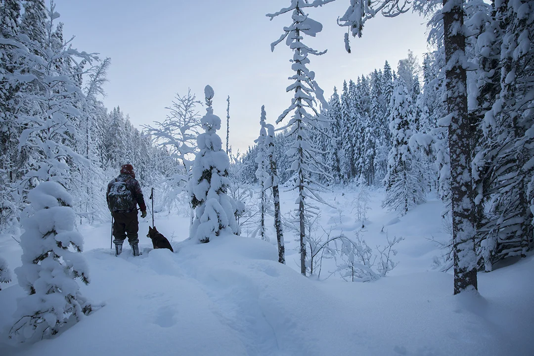Skiing north-karelia