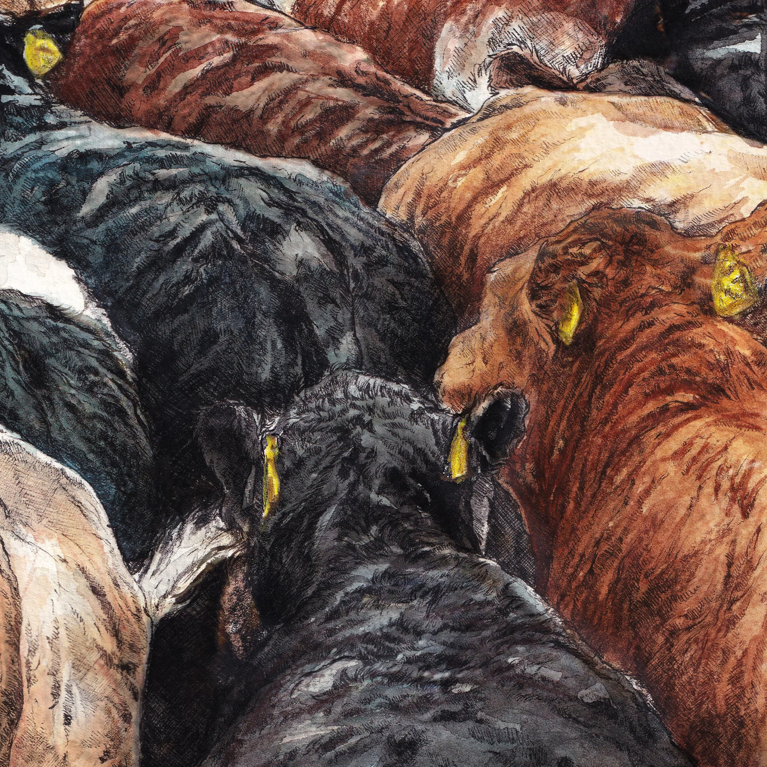 Limited Edition Print - Liquorice Allstores