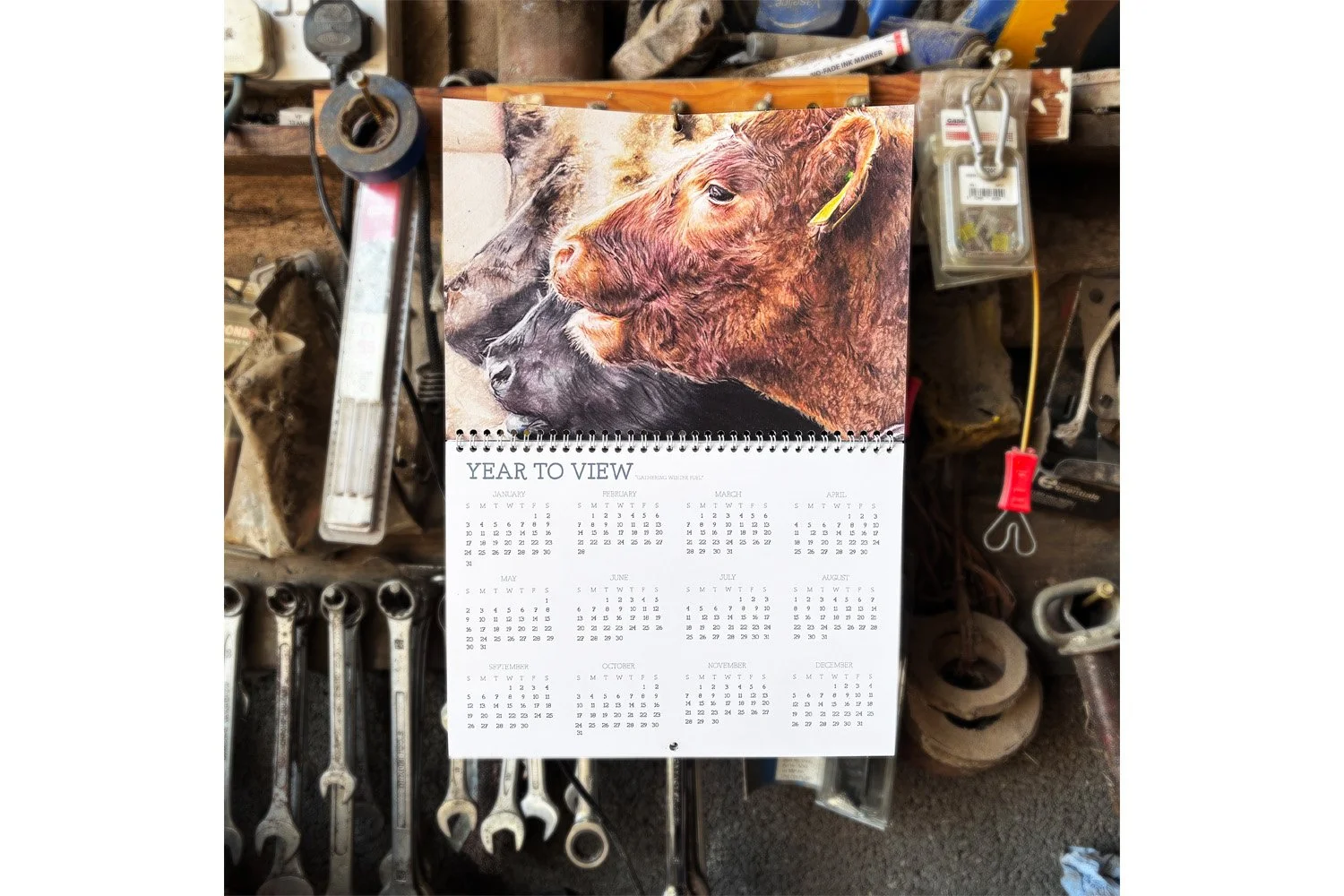 BeefCalendar_YTWWebsite.jpg