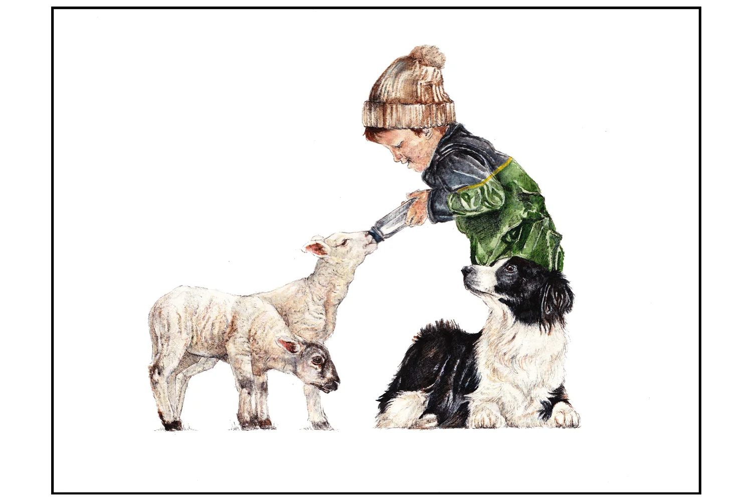 PetLambs_Website.jpg