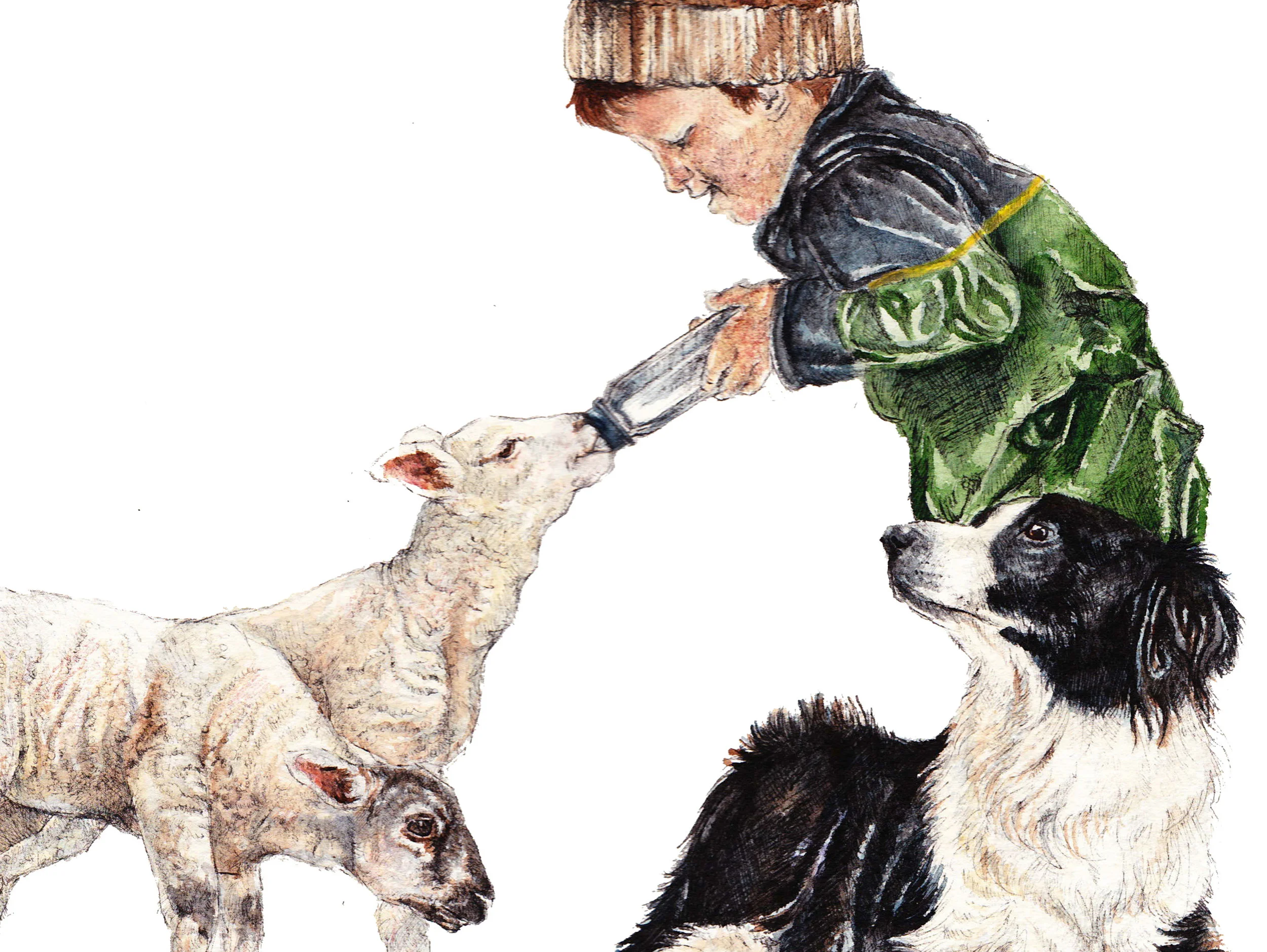 PetLambs_Thumbnail.jpg