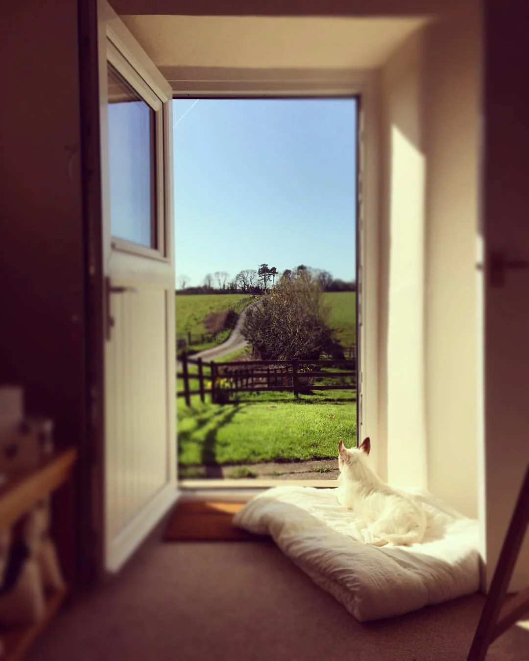  Plenty of natural light for Ted and resident artist