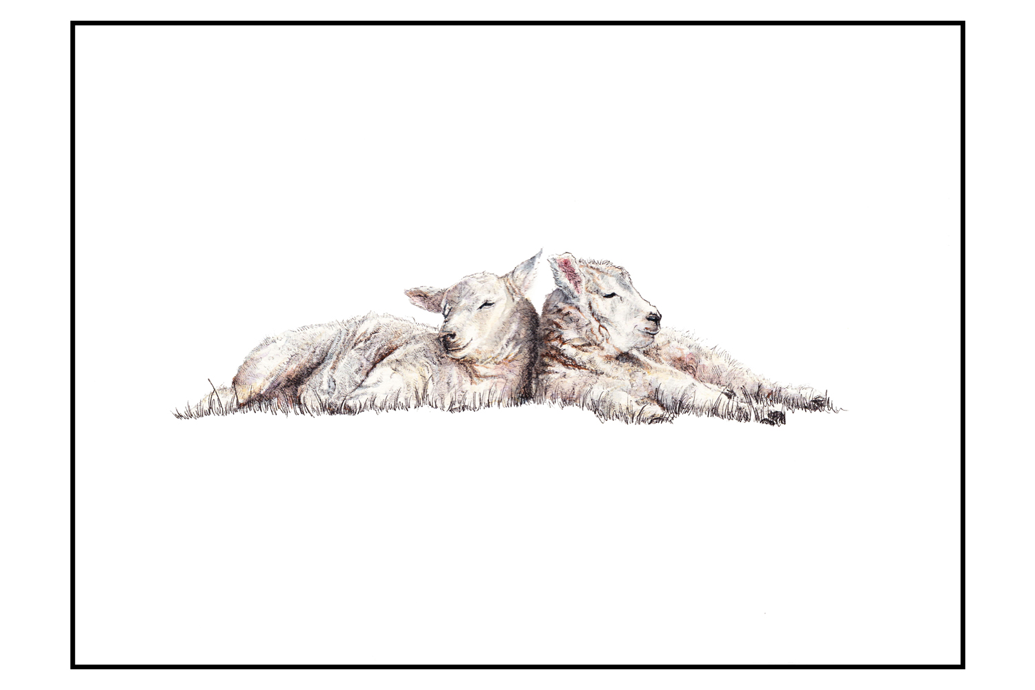  "40 Winks"