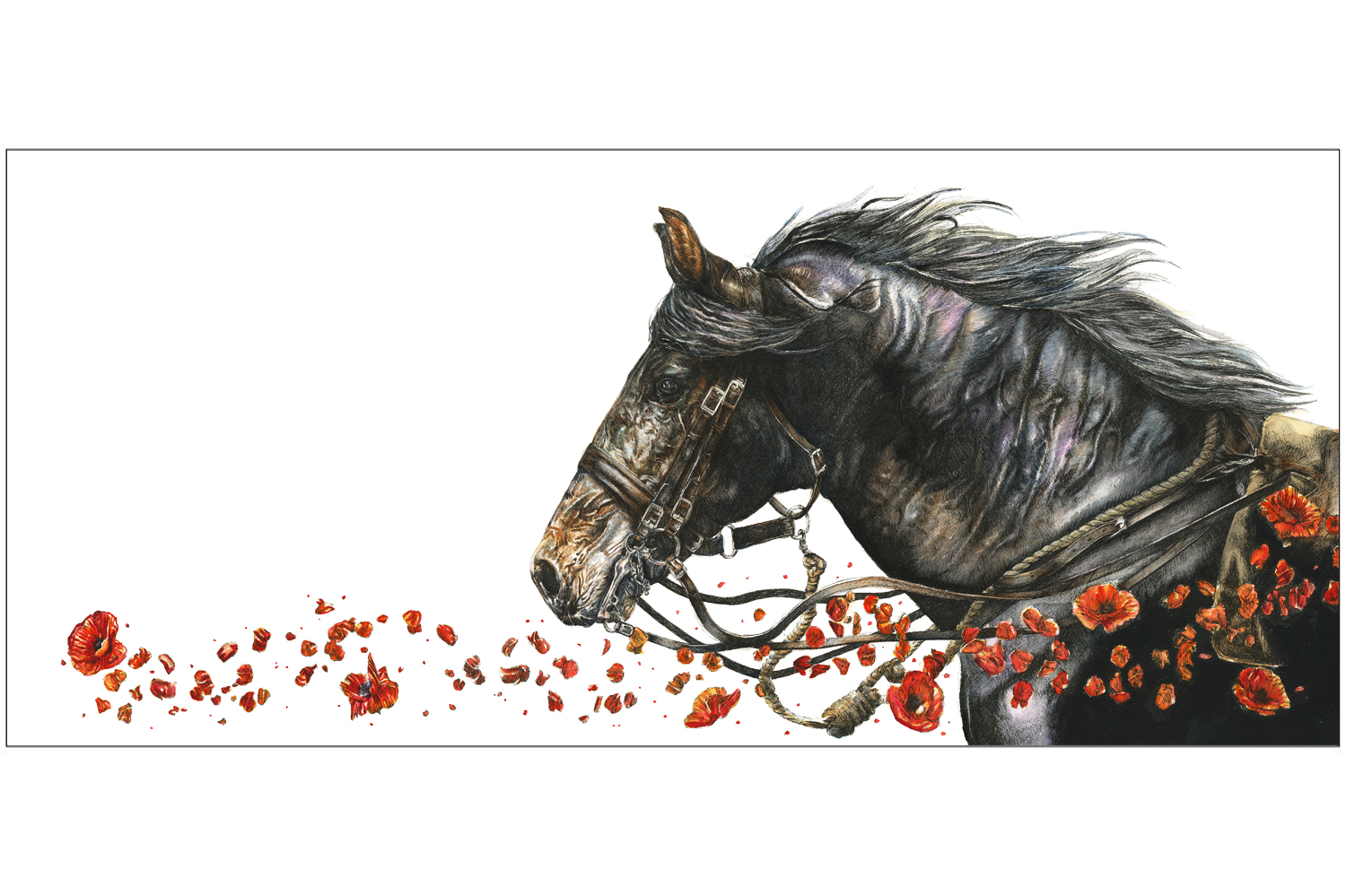 Remembrance_Website.jpg