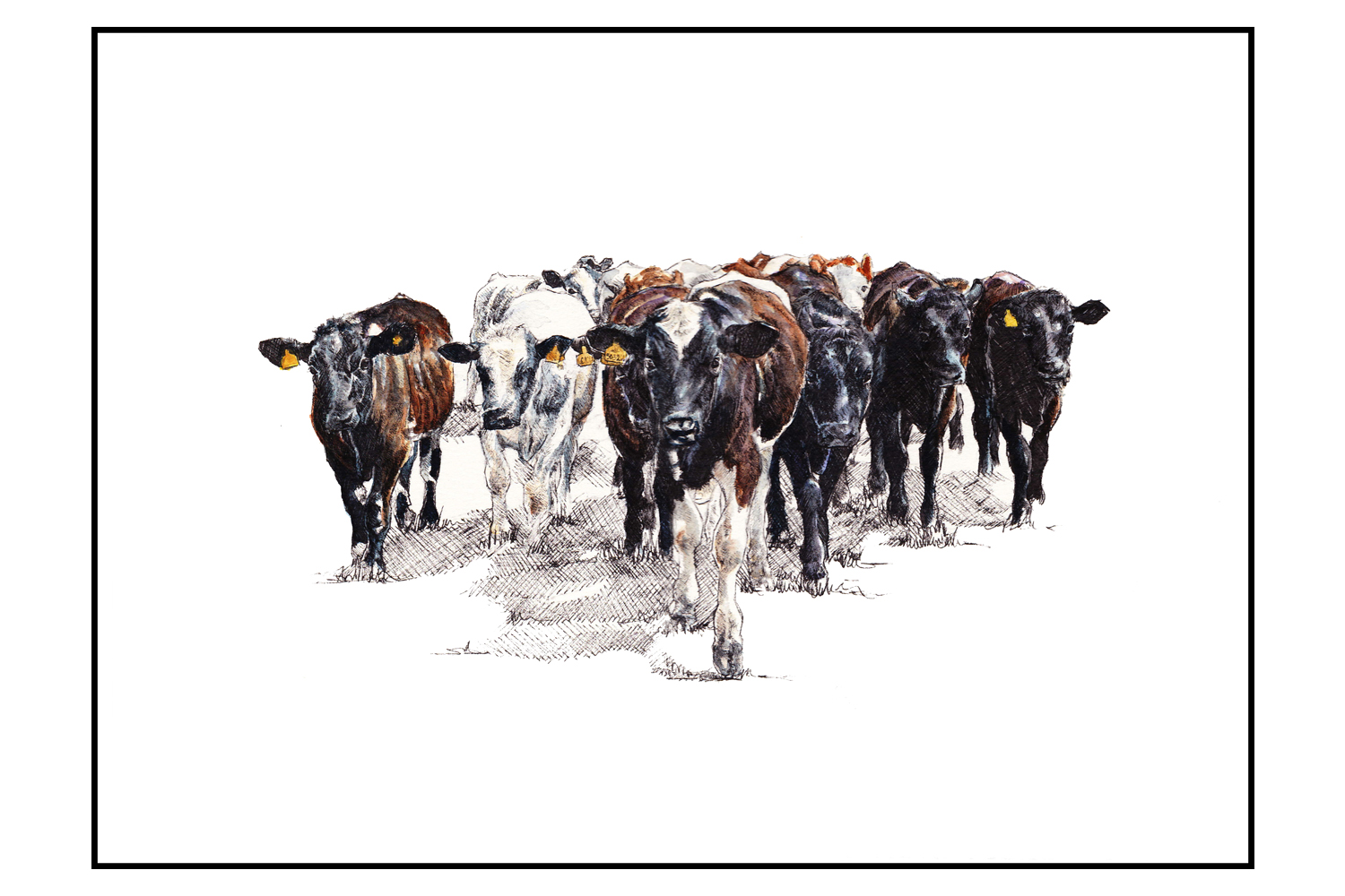 "Calves"