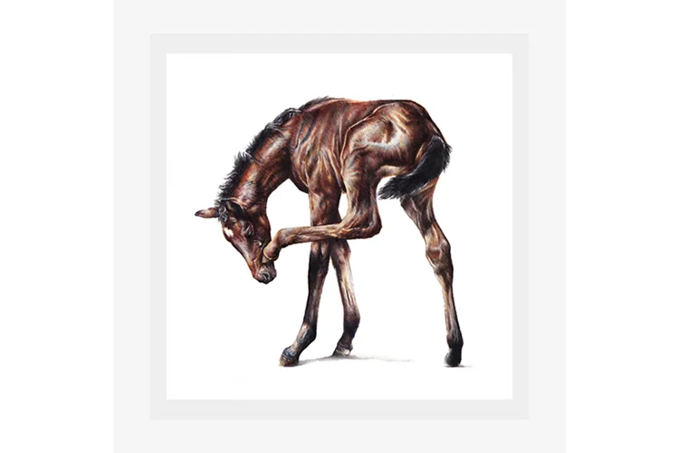 Thastthespot_Mounted.jpg