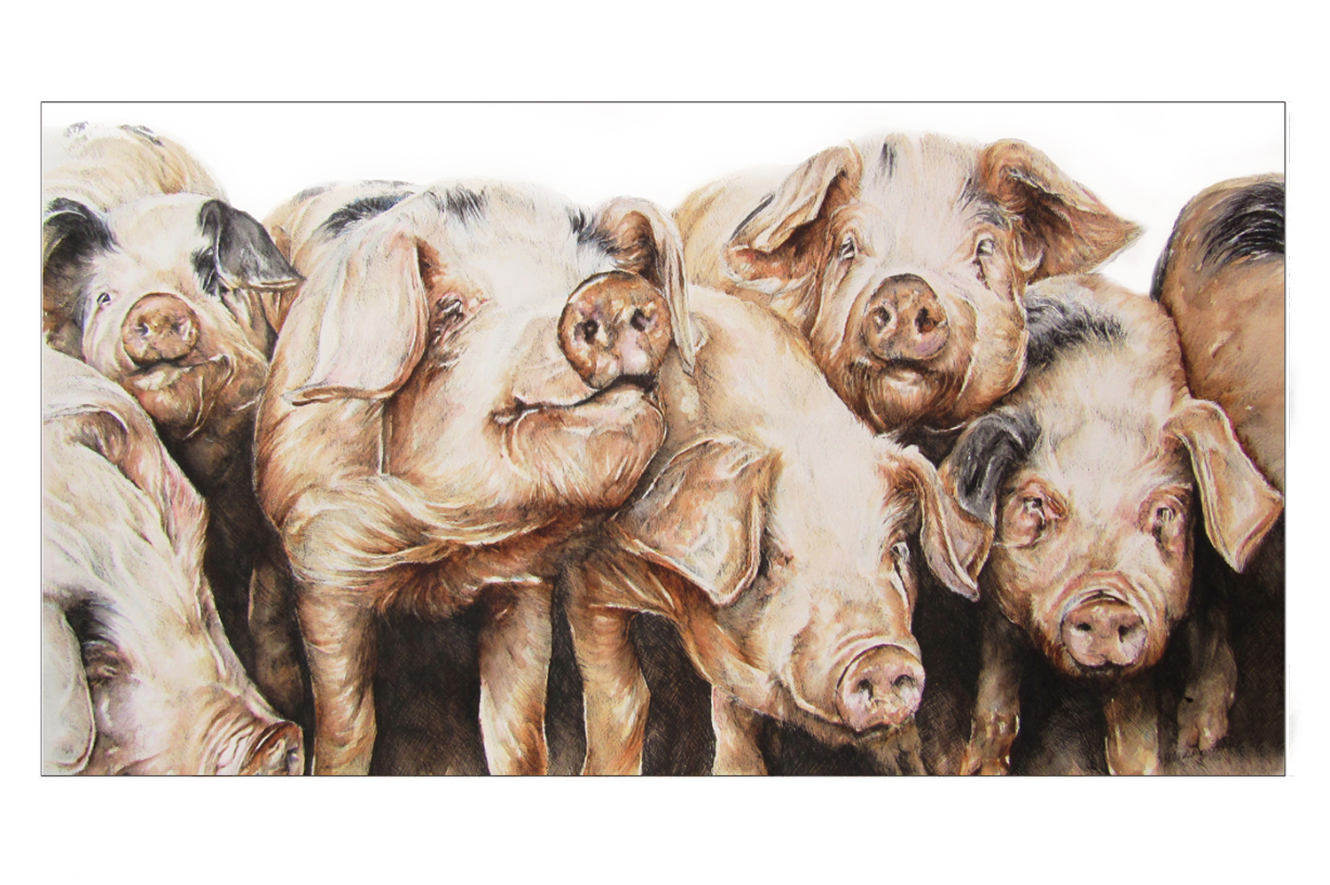 Piggies_Blacktrim.jpg
