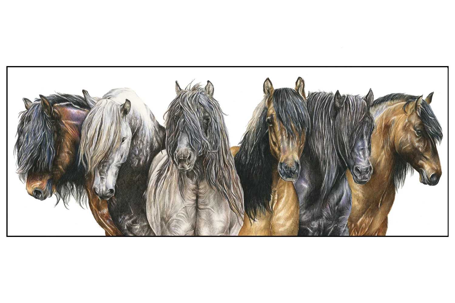 HighlandStallions_BlackTrim.jpg