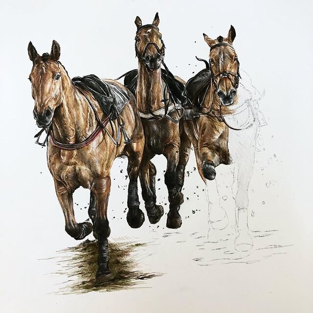 Two&rsquo;s a couple, three&rsquo;s a...
_
Walk of shame taking shape! 
_
#thoroughbred #horse #pointtopoint #goracing #racing #racehorse #horseracing #equineart #art #artwork #colouredpencil #pencil #illustration #illustrate #originalart