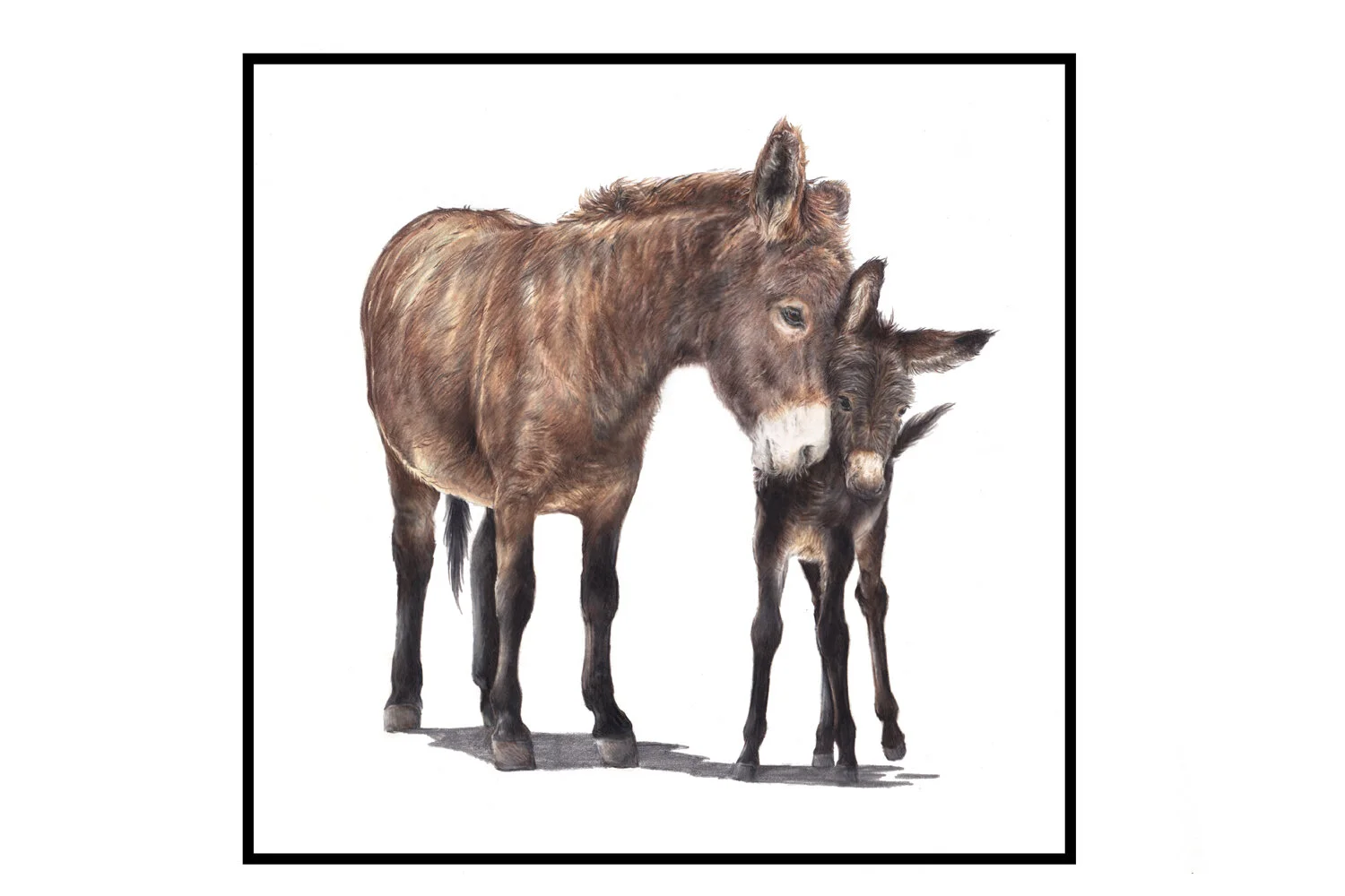 Fine Art Greeting Cards - "Devoted"