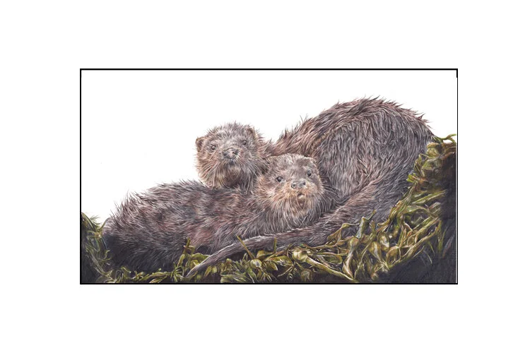 Fine Art Greeting Card - "Otters"