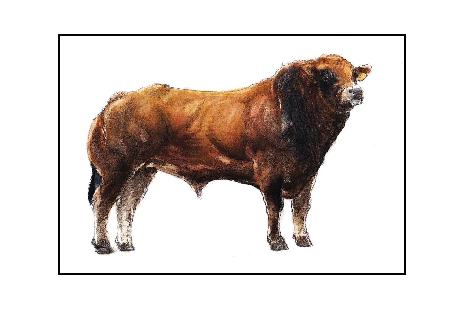 Fine Art Original - The Parthenaise