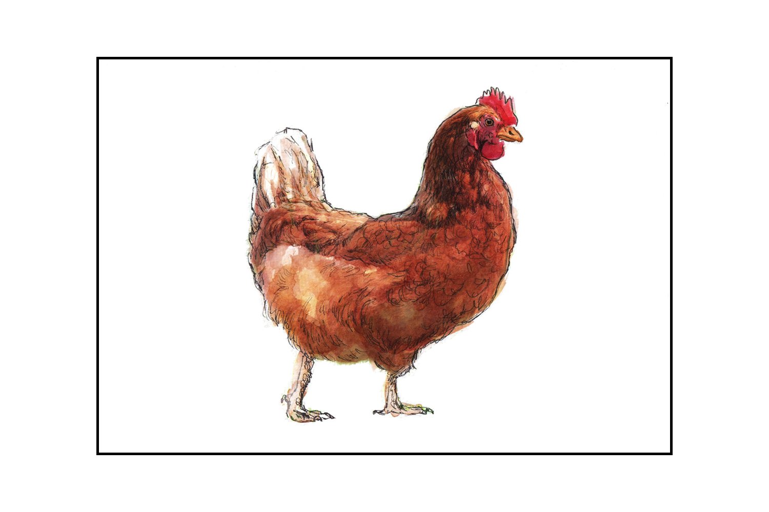 Fine Art Original - The Warren