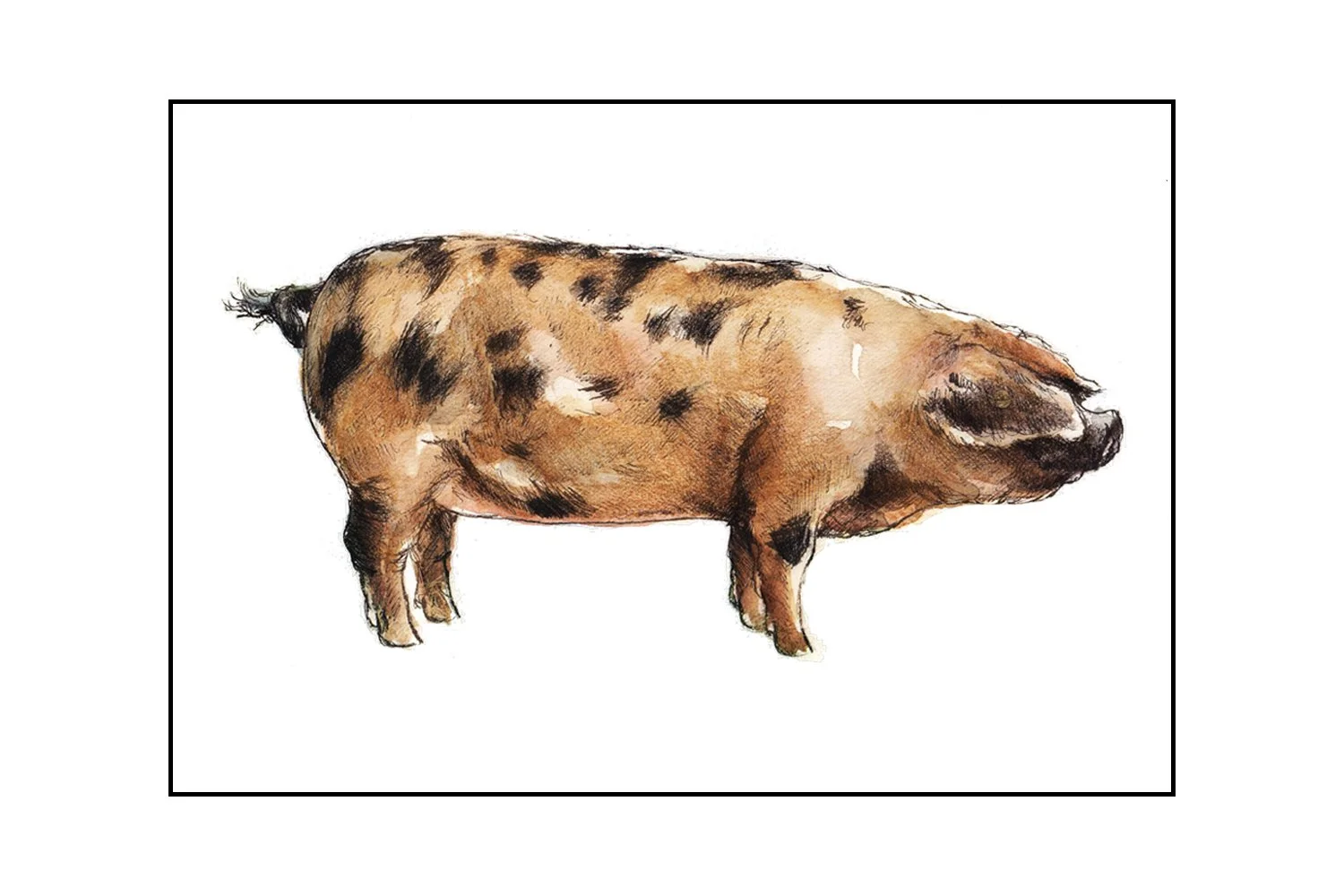 Fine Art Original - The Oxford Sandy Black