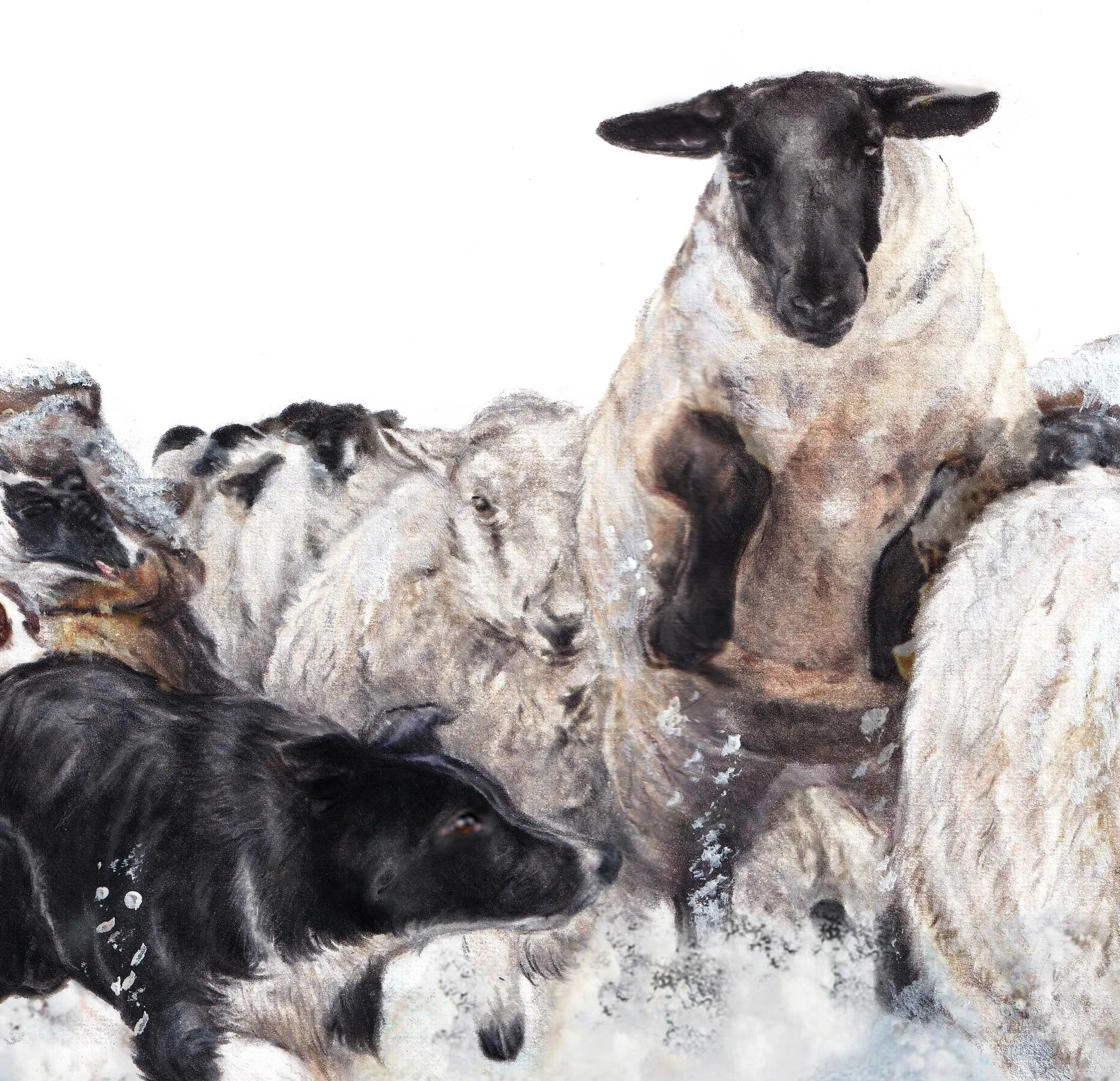Limited Edition Print - Dash Away All