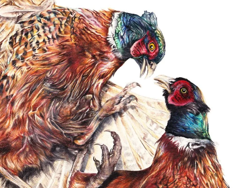 Limited Edition Print - The Contenders