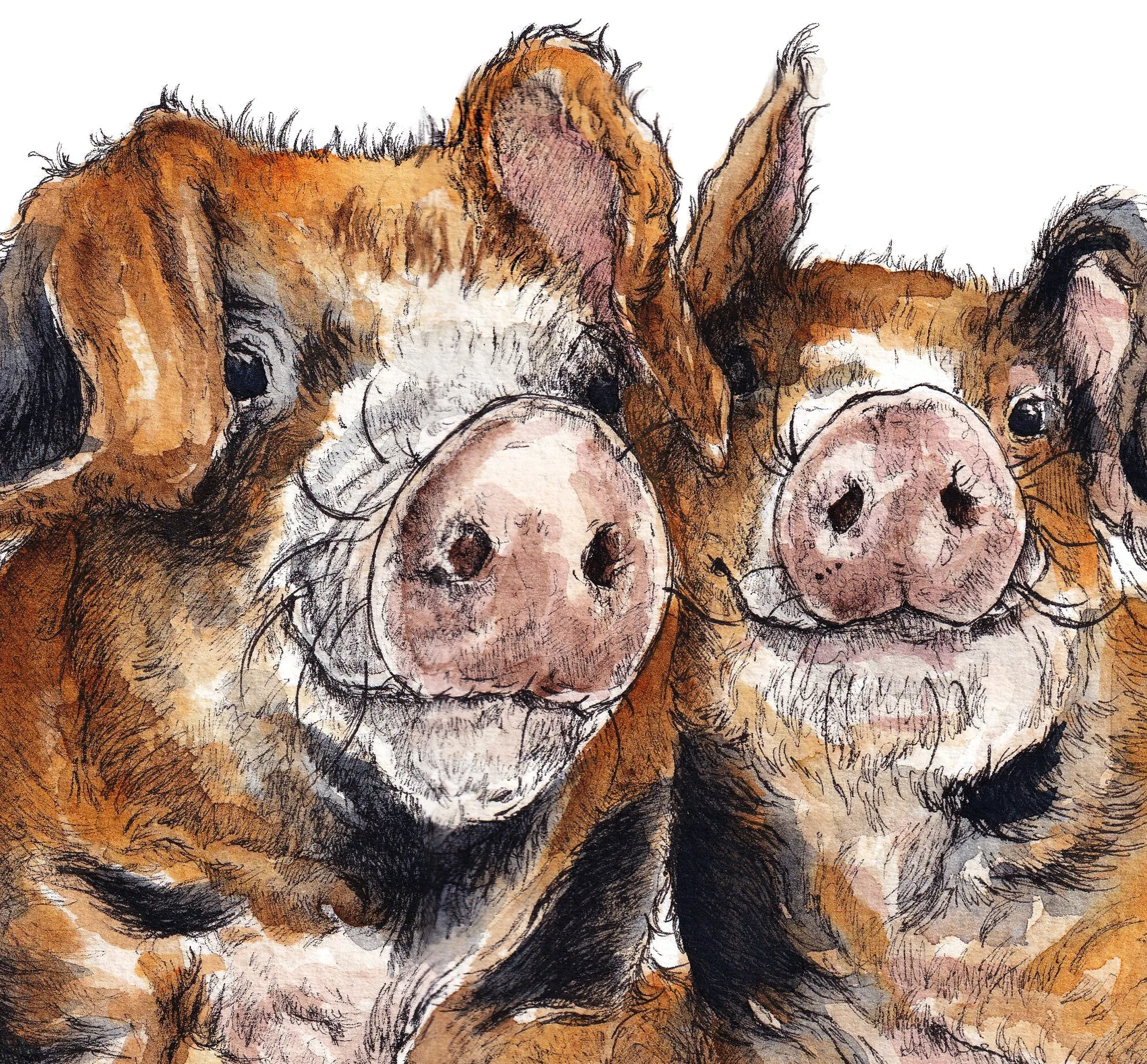 Limited Edition Print - Sitting Pretty