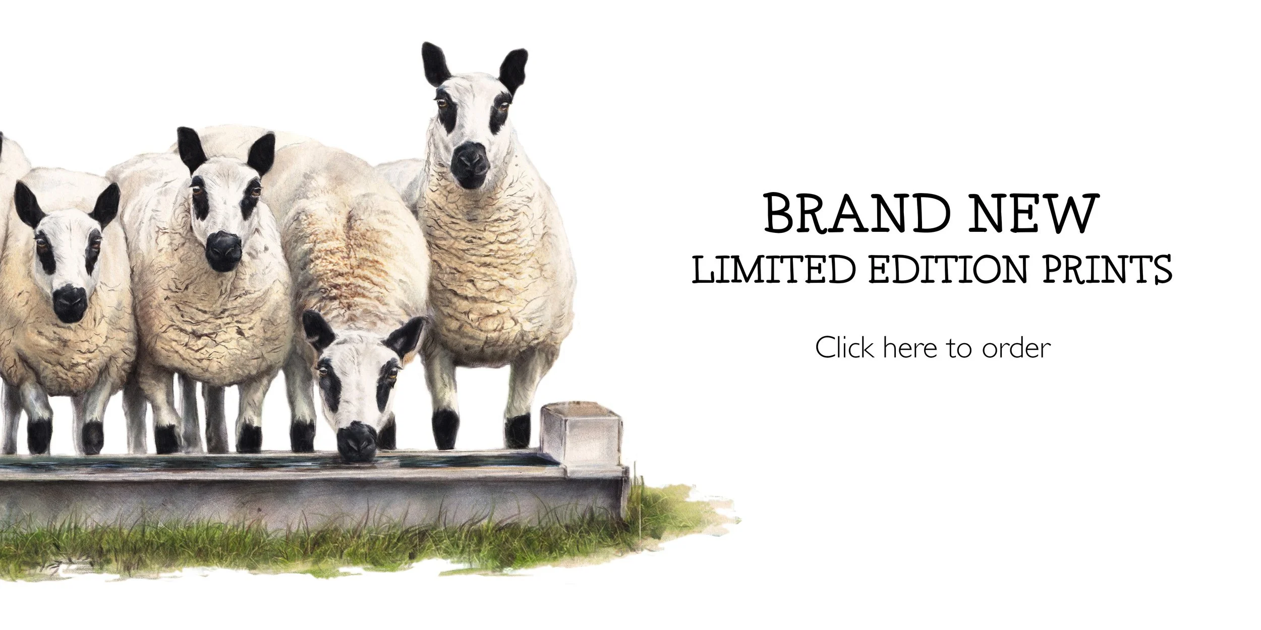 BrandNewLimitedEditionPrints