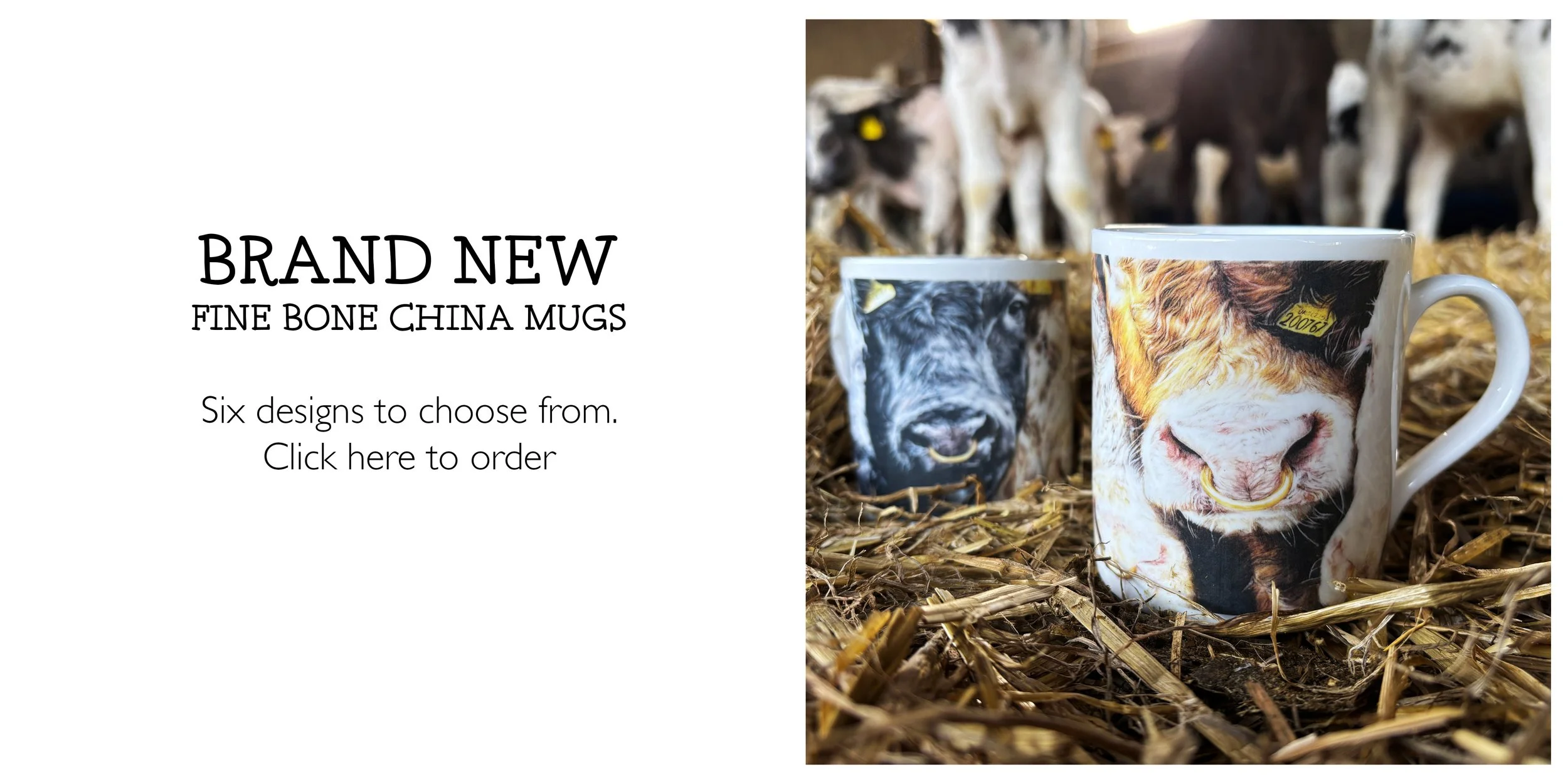 BrandNewFineBoneChinaMugs