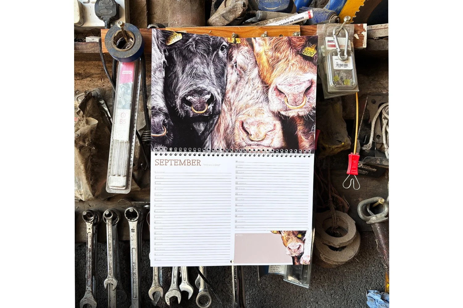 BeefCalendar_LayoutWebsite.jpg