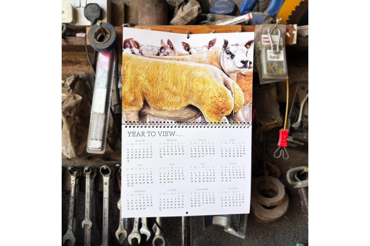SheepCalendar_YTWWebsite.jpg