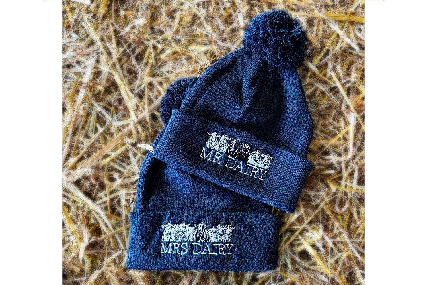MrMrsDairyHat_1.jpg