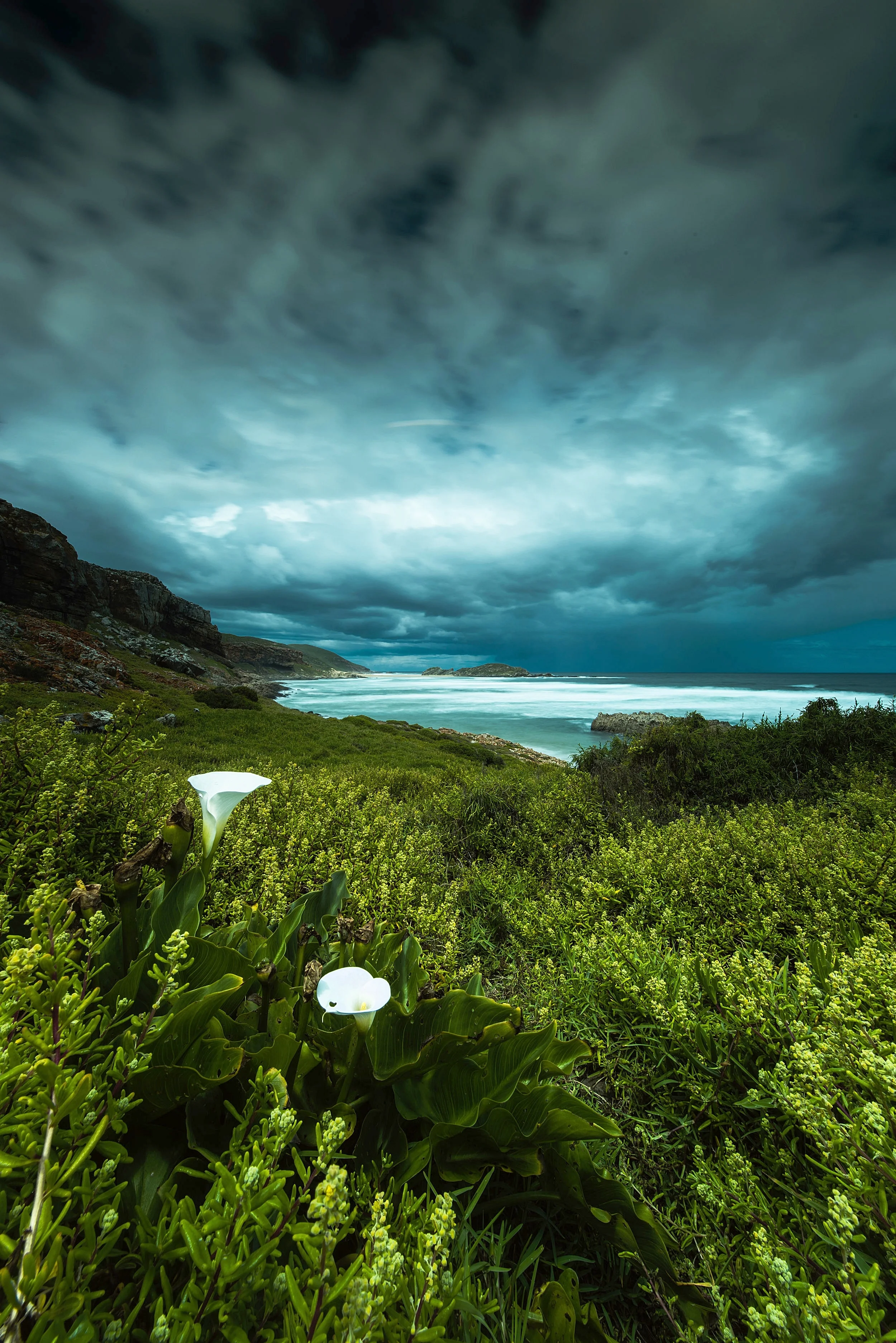 Marketing for 1 pager_155496747.jpeg