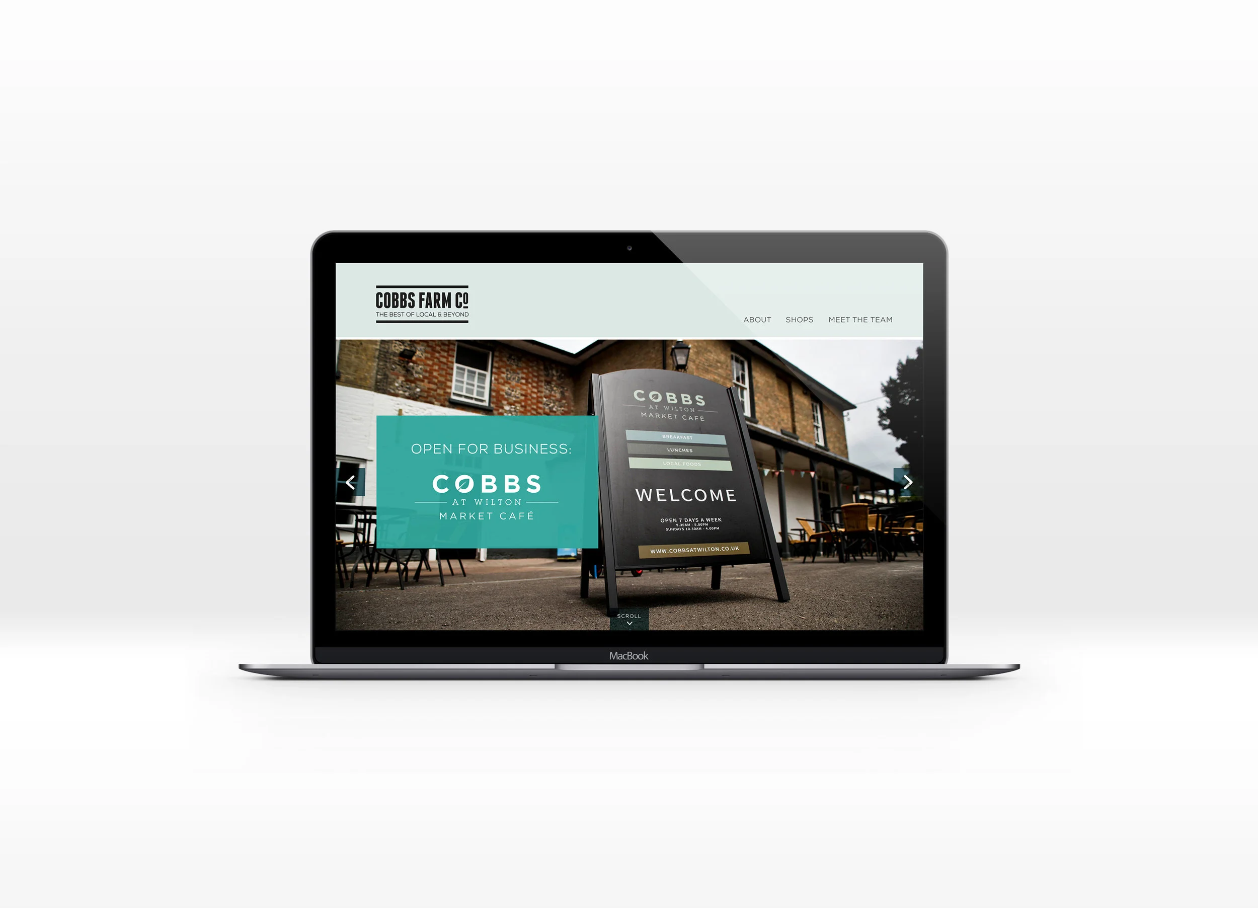 Cobbs Co Site 1.jpg
