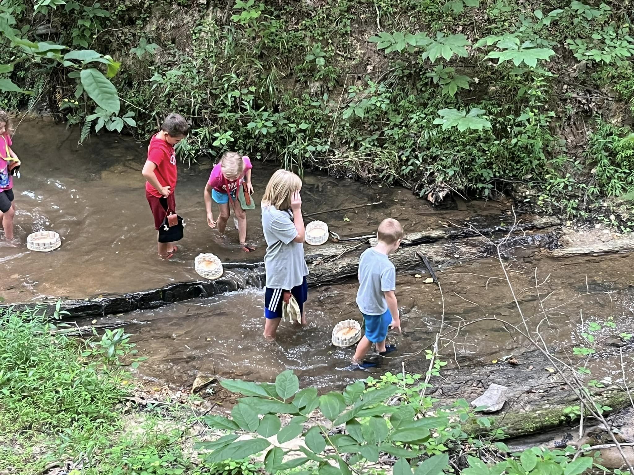 Creek Walking.