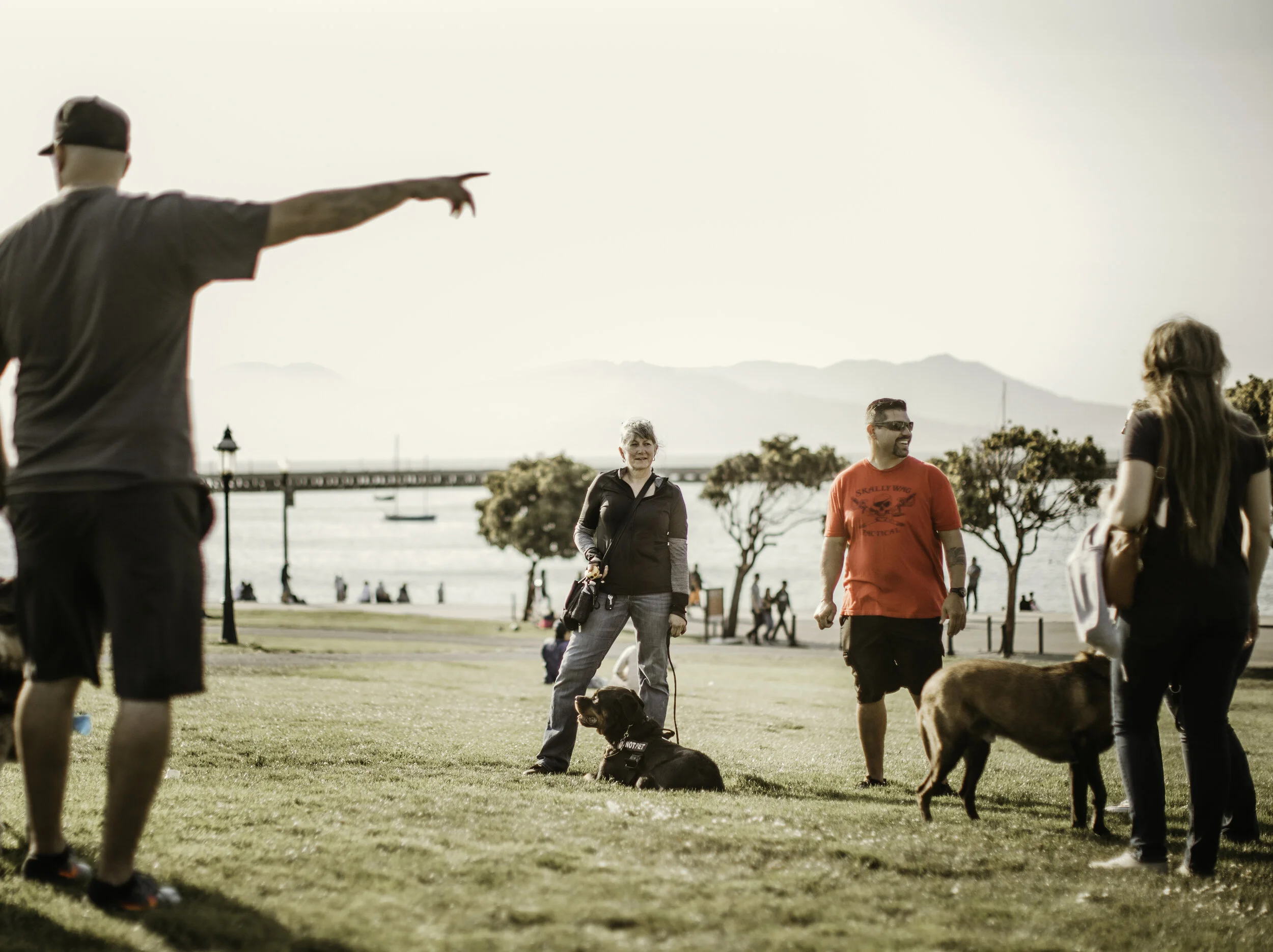 “Wantrepreneur” vs Entrepreneur: Do you have what it takes to own your own dog training business?