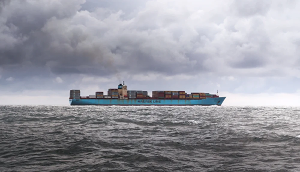Princo Shipping Home.jpg