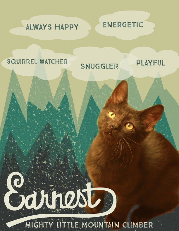 This guy was adopted the same week this ad was posted!