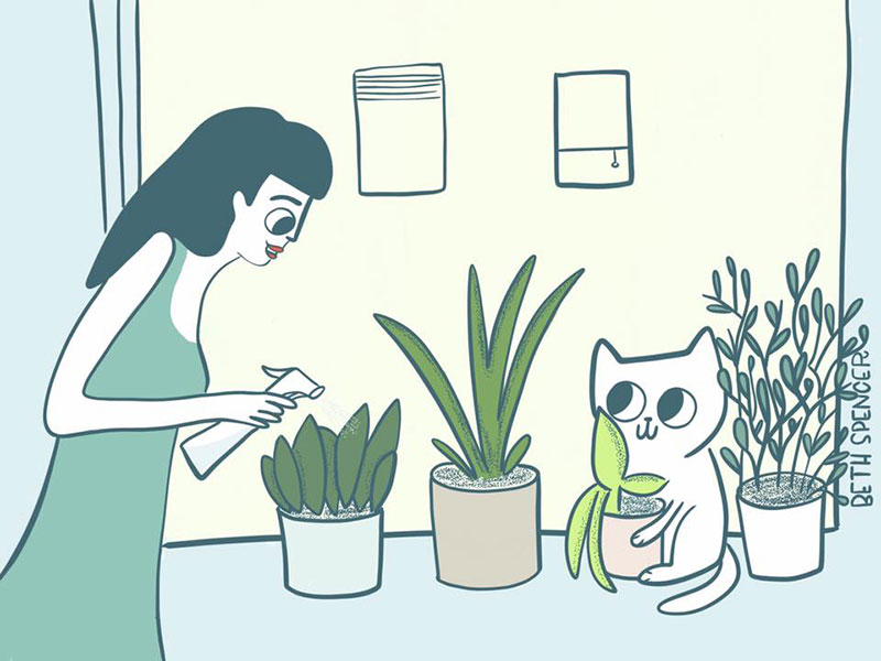 8 of #100catsandhumans