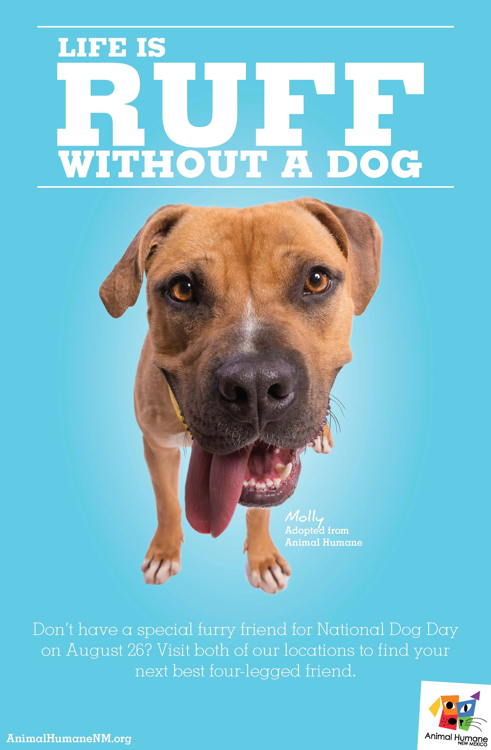ATM_AdoptADog2018.jpg