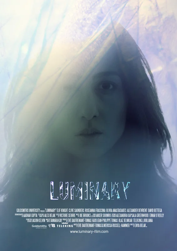 Luminary - BSFF 2017 Official Selection